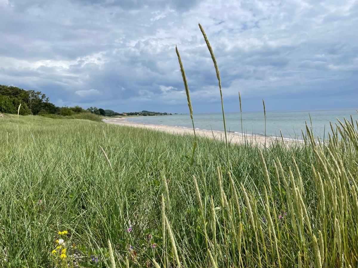 Appartamento Laegenhet Soeder Om Landsvaegen D Skivarp Esterno foto